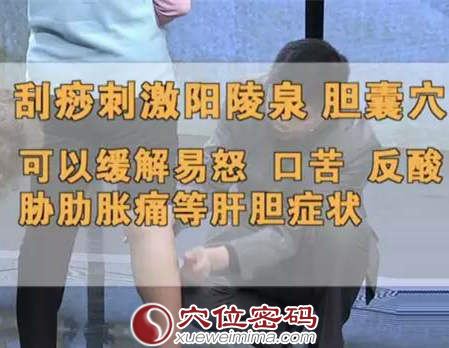 刮痧刺激阳陵泉、胆囊穴的作用