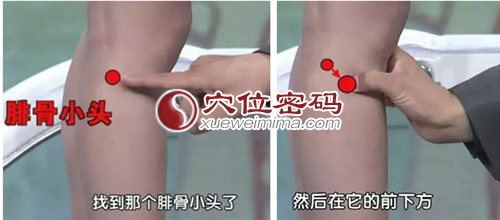 阳陵泉穴