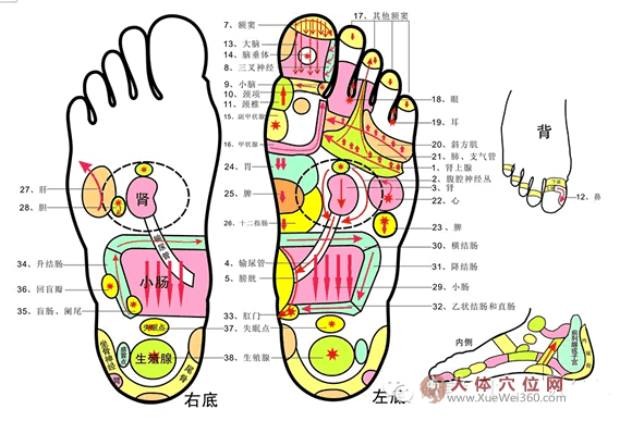 足反射疗法歌诀