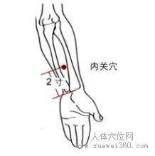 内关穴：心包经(图文)