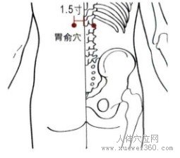 胃俞穴：膀胱经(图文)