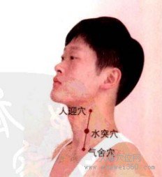 水突穴：胃经(图文)