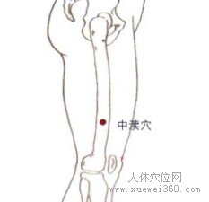 中渎穴：胆经(图文)