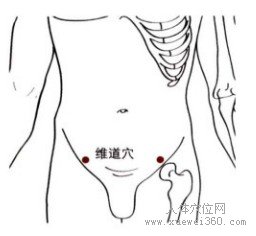 维道穴：胆经(图文)