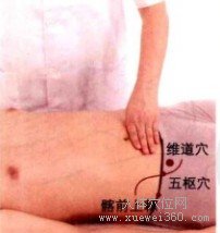 维道穴：胆经(图文)