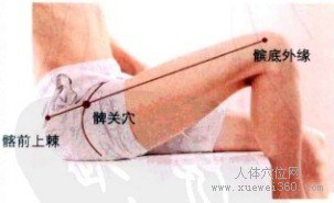 髀关穴的取穴窍门