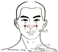 精确定位四白穴