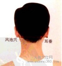 风池穴的取穴窍门