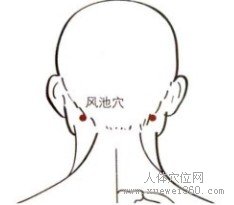 精确定位风池穴