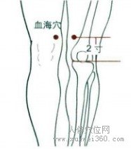 精确定位血海穴