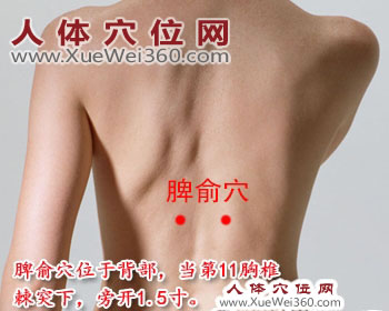 脾俞穴的准确位置图