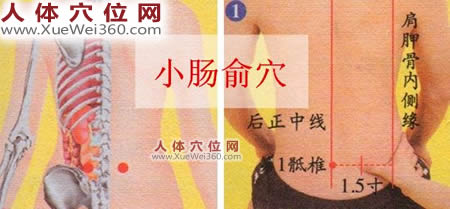 小肠俞穴的准确位置图