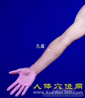孔最穴的准确位置图
