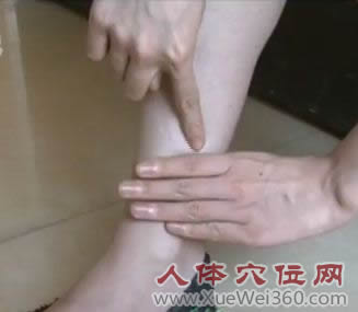<a href='http://www.liuyanbao.net/rentixueweichaxun/558.html' target='_blank'><u>三阴交</u></a>穴位位置图