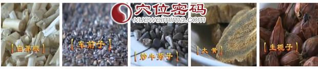 针对孩子经常上火，内热很重也是会引起咳嗽的药方