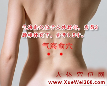 气海俞穴