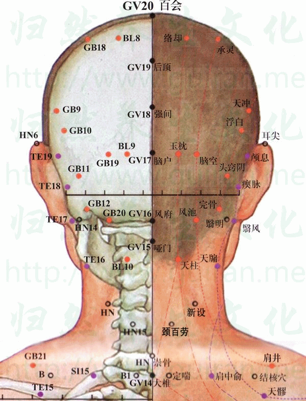 天柱穴：膀胱经(图文)
