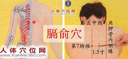 膈俞穴的准确位置图