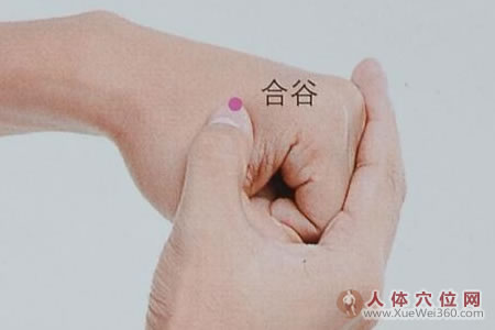 <a href='http://www.liuyanbao.net/rentixueweichaxun/475.html' target='_blank'><u>合谷穴</u></a>