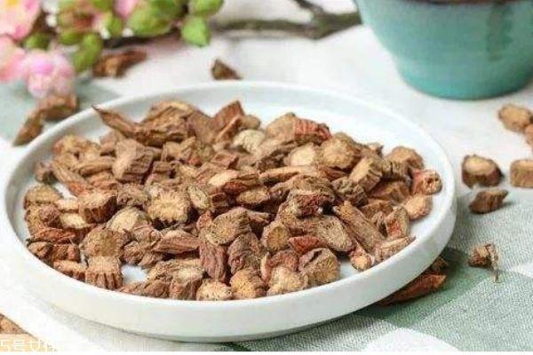 丹参的功效与作用及食用方法-丹参粉的功效与作用及食用方法