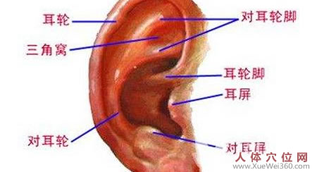 十式聪耳操 让您听力好