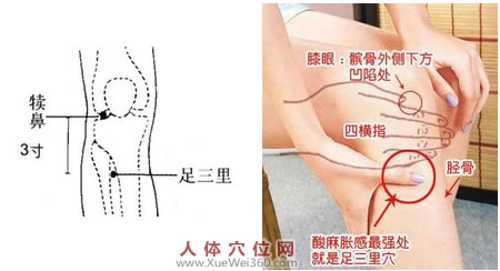<a href='http://www.liuyanbao.net/rentixueweichaxun/689.html' target='_blank'><u>足三里</u></a>