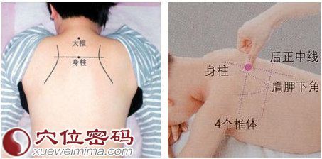 身柱穴的位置图