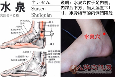 水泉穴的准确位置图