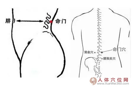 命门穴
