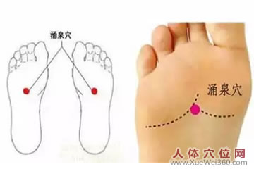 <a href='http://www.liuyanbao.net/rentixueweichaxun/502.html' target='_blank'><u>涌泉穴</u></a>