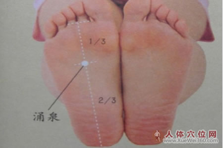 十大艾灸保健养生穴详细介绍：<a href='http://www.liuyanbao.net/rentixueweichaxun/502.html' target='_blank'><u>涌泉穴</u></a>