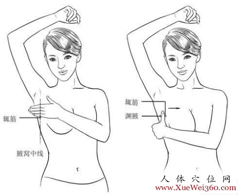 渊腋穴位图
