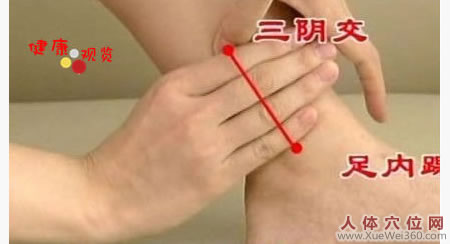 <a href='http://www.liuyanbao.net/rentixueweichaxun/558.html' target='_blank'><u>三阴交</u></a>穴的位置图
