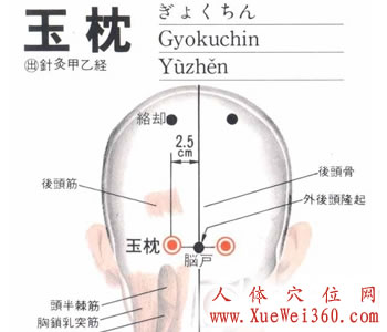 玉枕穴位位置图