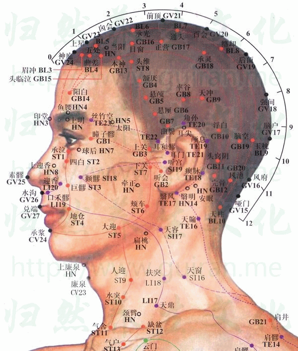 玉枕穴：膀胱经(图文)