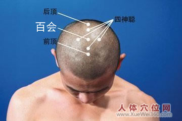 百会穴