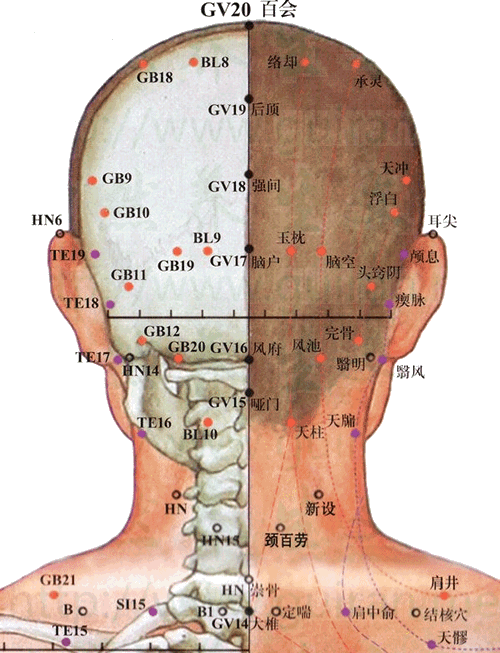 承灵穴：胆经(图文)