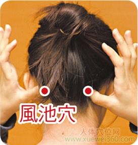 风池穴