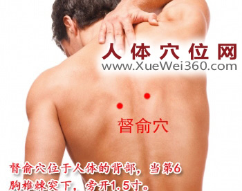 督俞穴的准确位置图