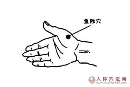 鱼际穴