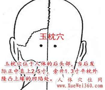 玉枕穴的准确位置图