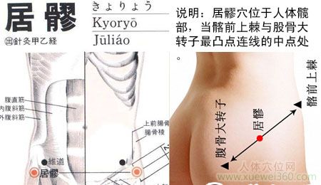 巨髎穴的准确位置图