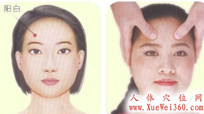 图解阳白穴位的位置