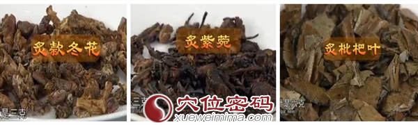 治疗咳嗽的小经验方（小儿止咳嗽茶方）：炙款冬花3克 炙紫菀3克 炙枇杷叶6克