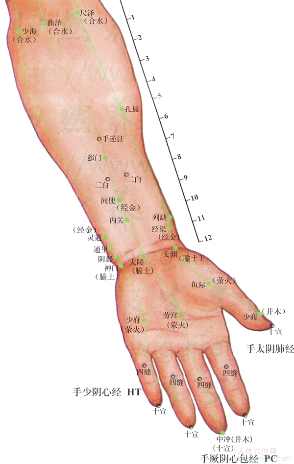 孔最穴：肺经(图文)