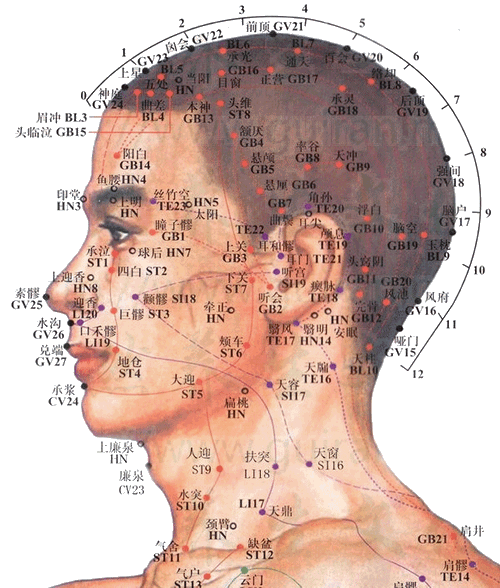 风池穴：胆经(图文)