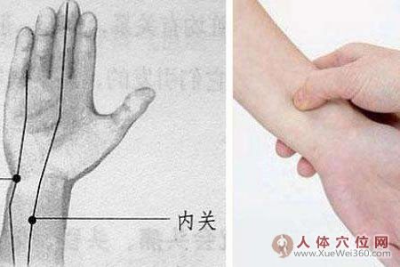内关穴