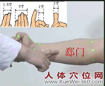 郄门穴位位置图