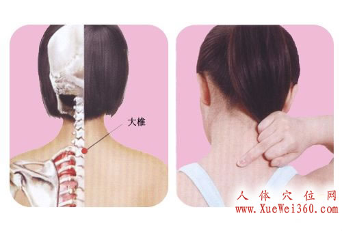 大椎穴位位置图