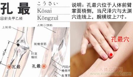 孔最穴的准确位置图